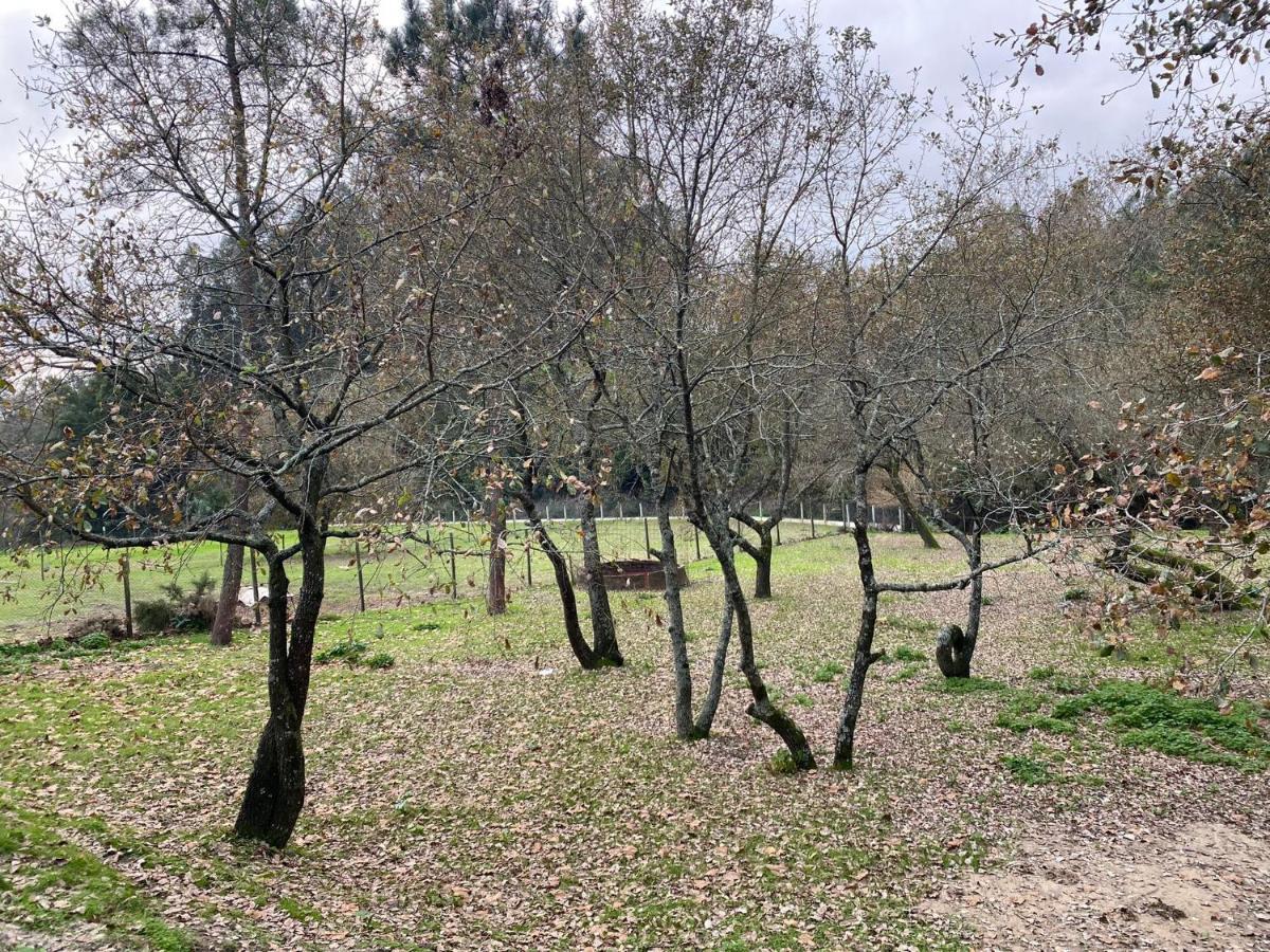 Вилла Quinas Playground Souto da Carpalhosa Экстерьер фото